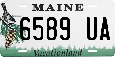 ME license plate 6589UA