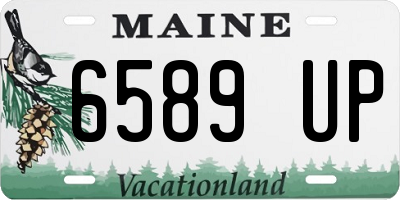 ME license plate 6589UP