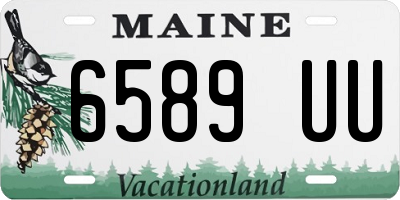 ME license plate 6589UU