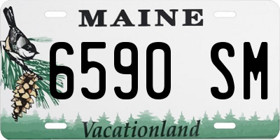 ME license plate 6590SM