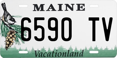 ME license plate 6590TV