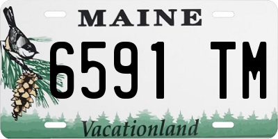 ME license plate 6591TM