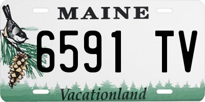 ME license plate 6591TV