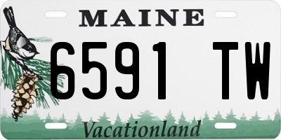 ME license plate 6591TW