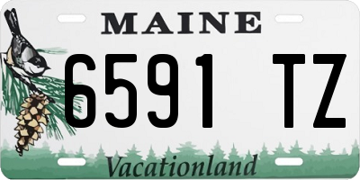 ME license plate 6591TZ