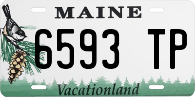 ME license plate 6593TP
