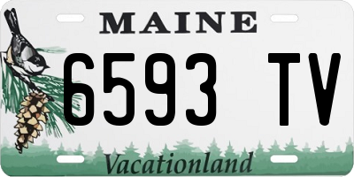ME license plate 6593TV