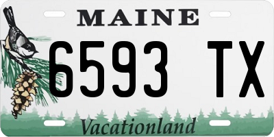 ME license plate 6593TX