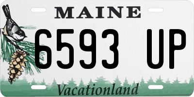 ME license plate 6593UP