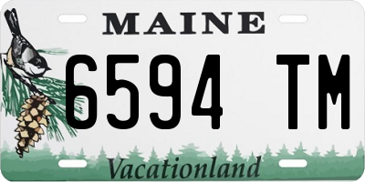 ME license plate 6594TM