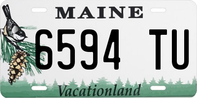 ME license plate 6594TU