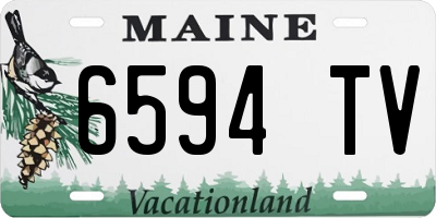 ME license plate 6594TV