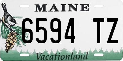 ME license plate 6594TZ