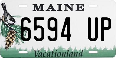 ME license plate 6594UP