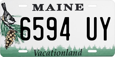 ME license plate 6594UY