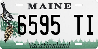 ME license plate 6595TI