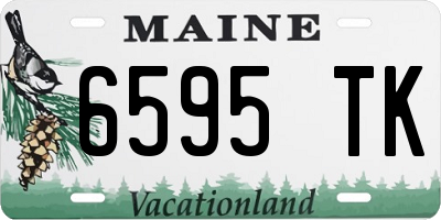 ME license plate 6595TK