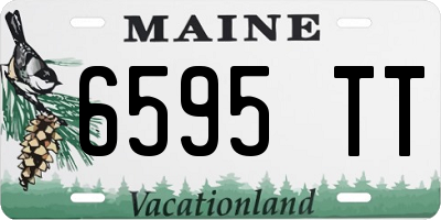 ME license plate 6595TT