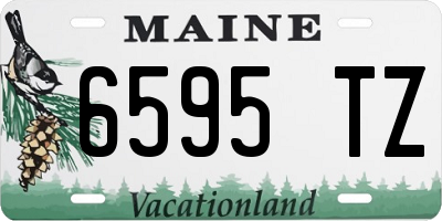 ME license plate 6595TZ