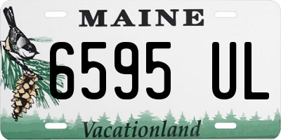 ME license plate 6595UL