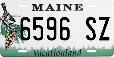 ME license plate 6596SZ