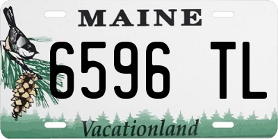 ME license plate 6596TL