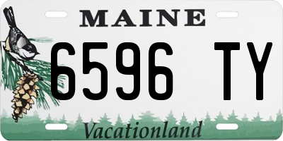 ME license plate 6596TY