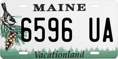 ME license plate 6596UA