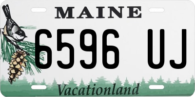 ME license plate 6596UJ