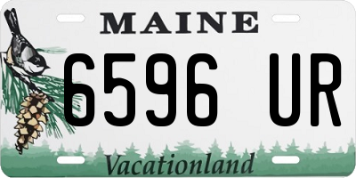 ME license plate 6596UR