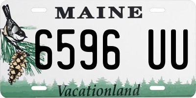 ME license plate 6596UU