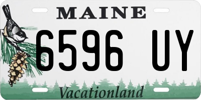 ME license plate 6596UY
