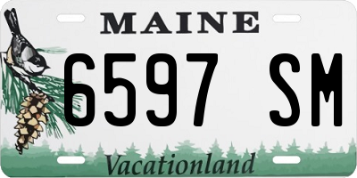 ME license plate 6597SM