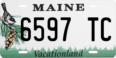 ME license plate 6597TC