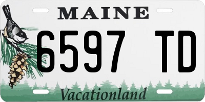 ME license plate 6597TD