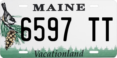 ME license plate 6597TT