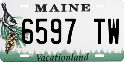 ME license plate 6597TW