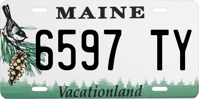ME license plate 6597TY