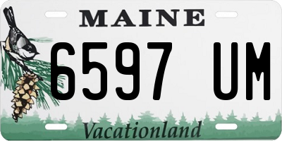 ME license plate 6597UM