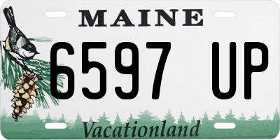 ME license plate 6597UP