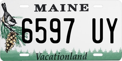 ME license plate 6597UY