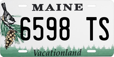 ME license plate 6598TS