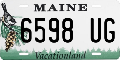 ME license plate 6598UG