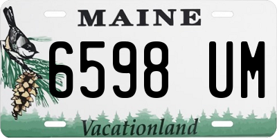 ME license plate 6598UM