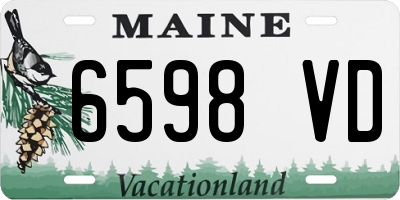 ME license plate 6598VD