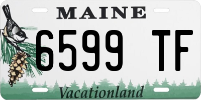 ME license plate 6599TF