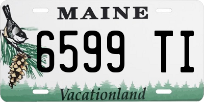 ME license plate 6599TI
