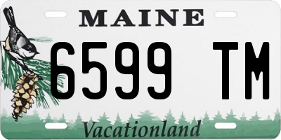 ME license plate 6599TM