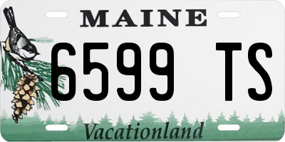 ME license plate 6599TS