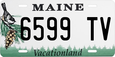 ME license plate 6599TV